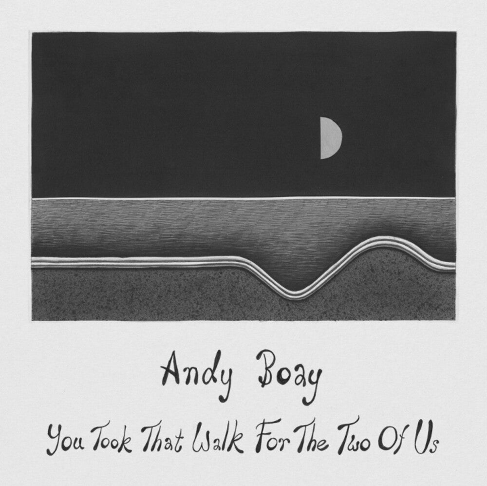 Andy Boay- You Took That Walk For The Two Of Us [ VINYL LP ]