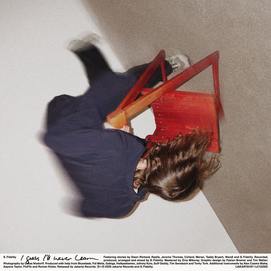 S Fidelity .- Guess I'll Never Learn [ VINYL LP ]