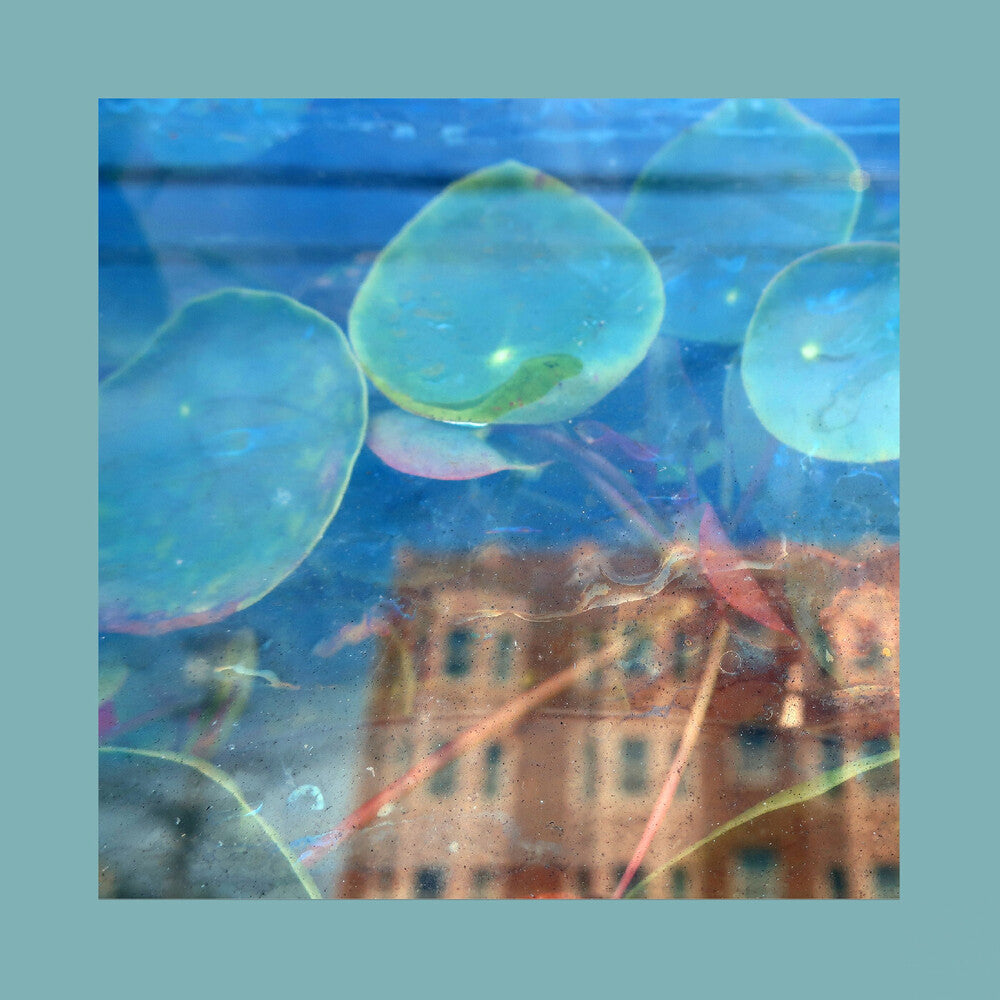 Reds Pinks & Purples- Acknowledge Kindness [Indie Exclusive] - Subconscious Window [ VINYL LP ]