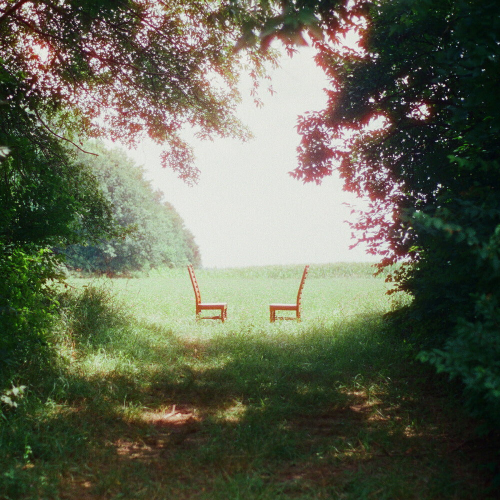 Ratboys- Singin' to an Empty Chair [Indie Exclusive Brown and Green Marbled] [ VINYL LP ]