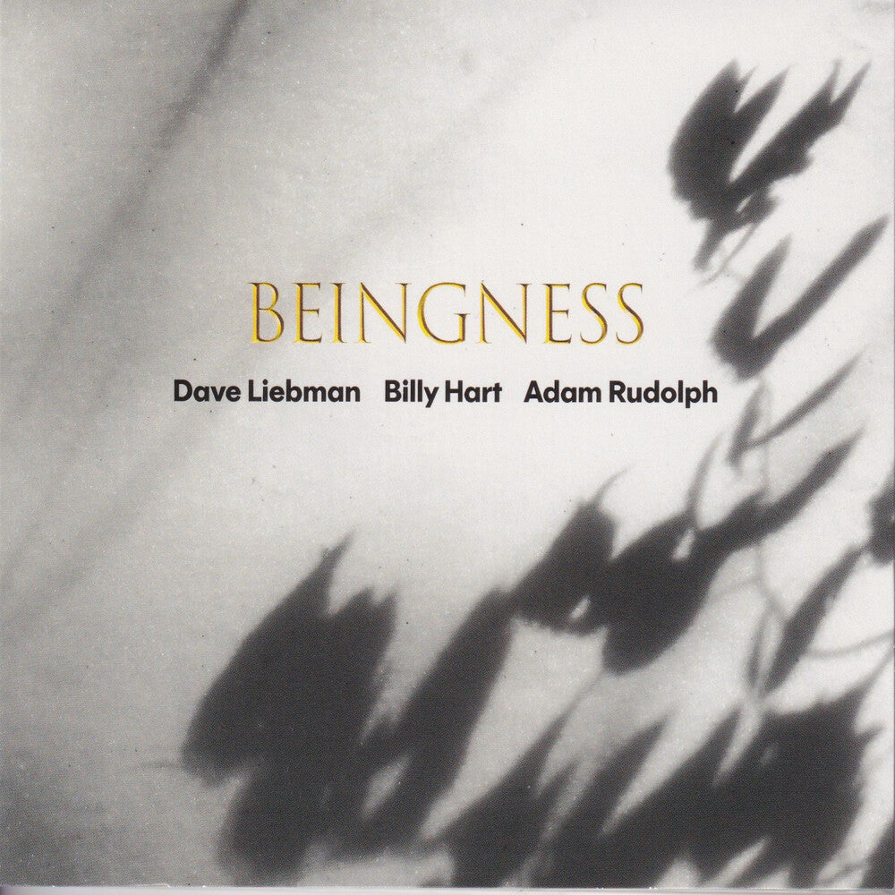 Dave Leibman / Hart,Billy / Rudolph,Adam- Beingness [Colored Vinyl] [Limited Edition] [180 Gram] [ VINYL LP ]