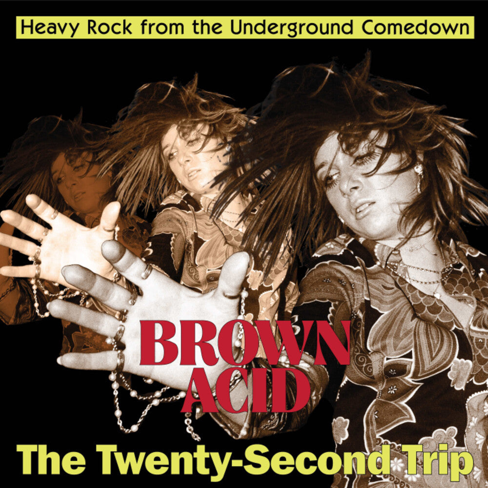 Brown Acid - Twenty-Second Trip / Various- Brown Acid - The Twenty-Second Trip (Various Artists) [ VINYL LP ]