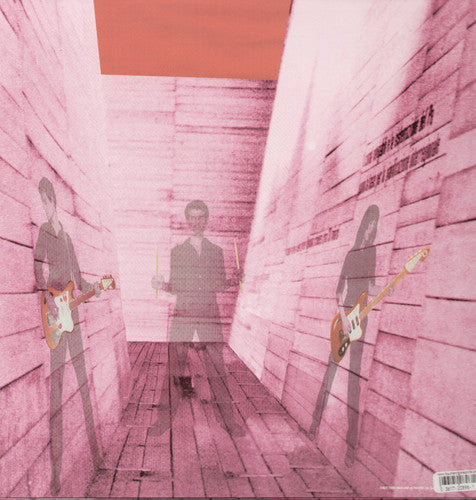 Blonde Redhead: In An Expression of the Inexpressible  / Record
