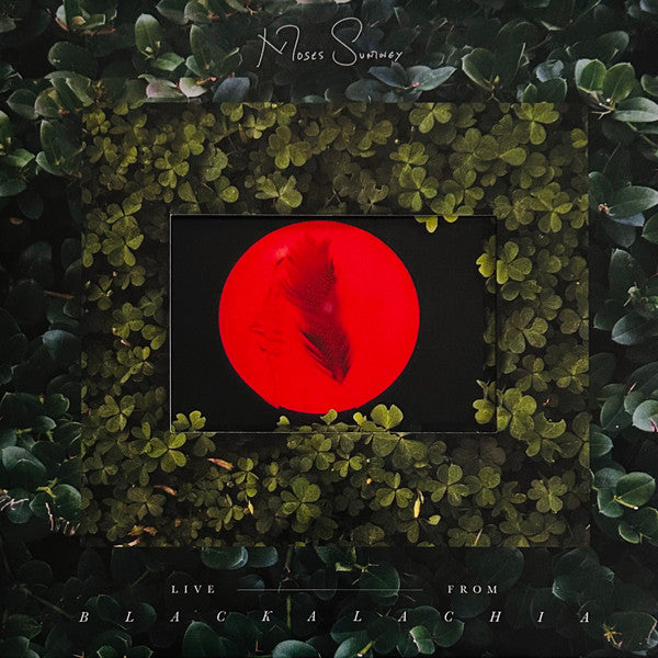 Moses Sumney- Live From Blackalachia - Opaque Red Colored Vinyl [ VINYL LP ]