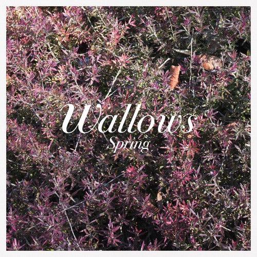 Wallows- Spring EP [ VINYL LP ]