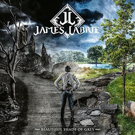 James LaBrie (Dream Theater)-  Beautiful Shade Of Grey [ VINYL LP ]