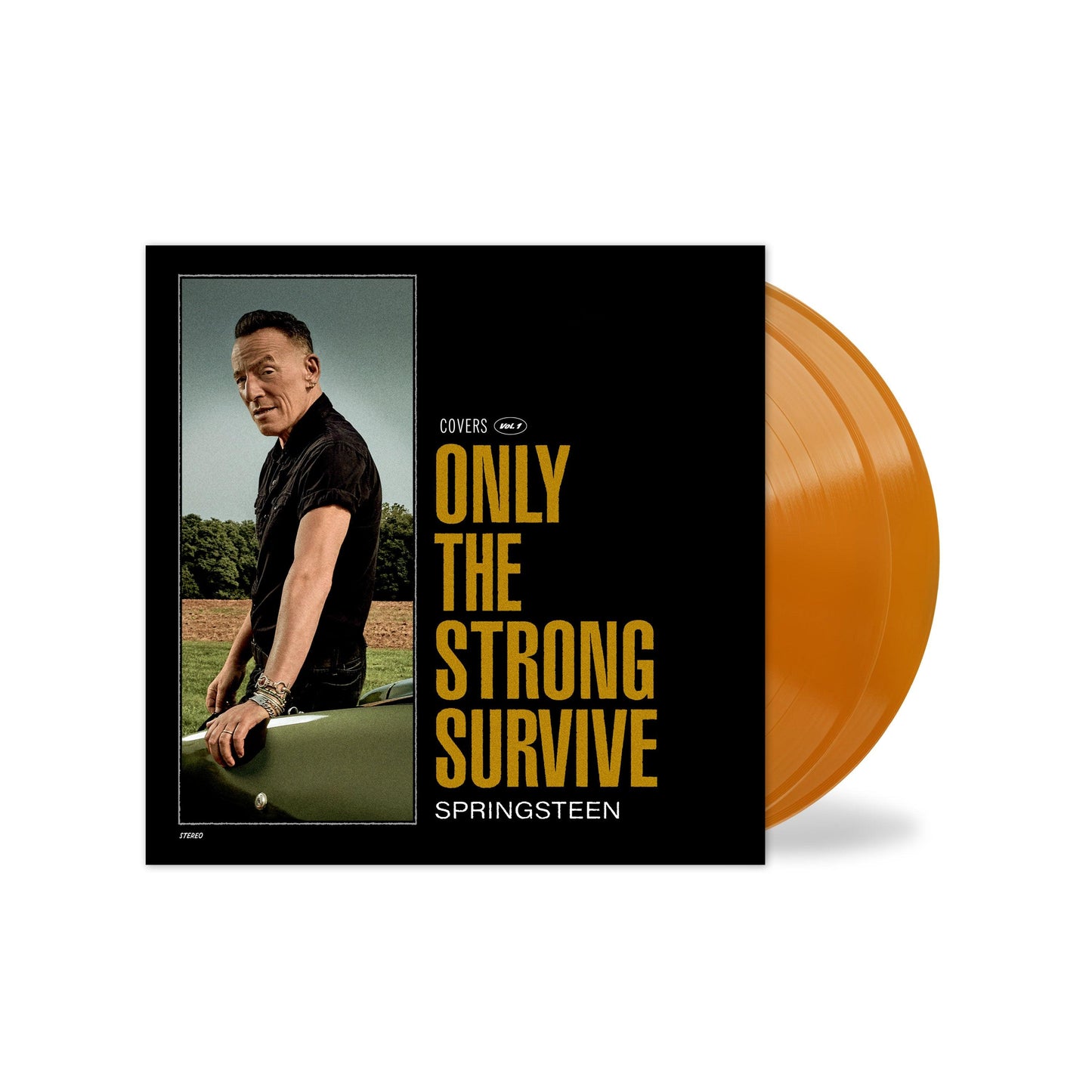 Bruce Springsteen- Only The Strong Survive (Indie Exclusive Orbit Orange Vinyl) [ VINYL LP ]