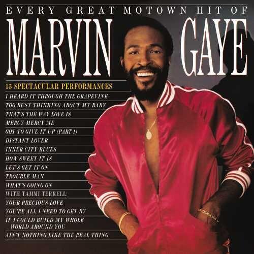 Marvin Gaye- Every Great Motown Hit Of [ VINYL LP ]