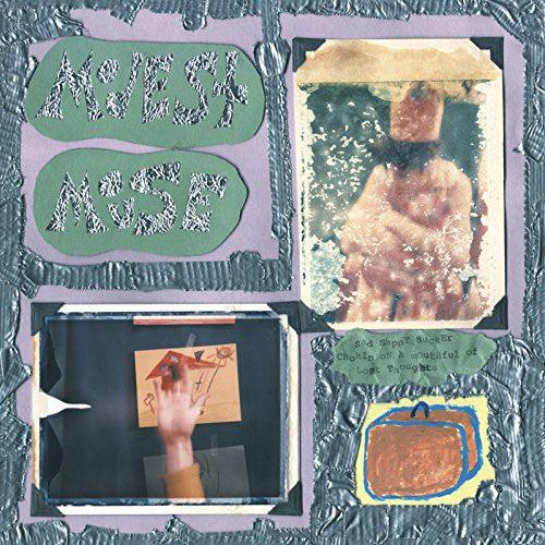 Modest Mouse- Sad Sappy Sucker [ VINYL LP ]