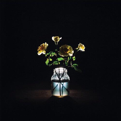 Billy Strings- Renewal [ VINYL LP ]