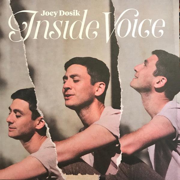 Joey Dosik (Vulfpeck)- Inside Voice [ VINYL LP ]