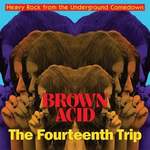 Various- Brown Acid: Fourteenth Trip [ VINYL LP ]