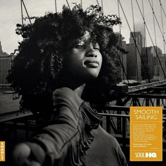 Various- Smooth Sailing: A Rare Soul Adventure [ VINYL LP ]